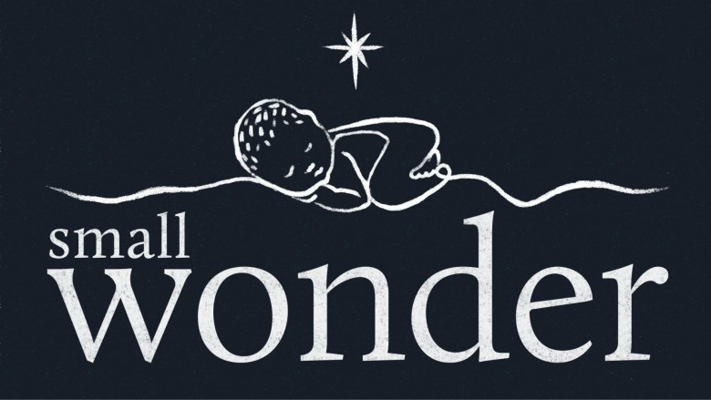 Small Wonder